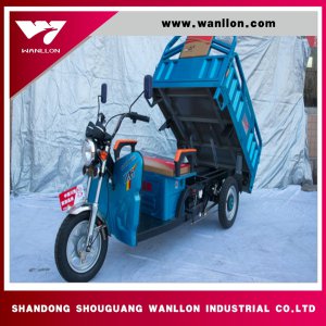 800W Electric Cargo Use with Cabin Mini Trunk